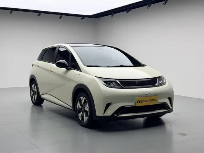 BYD Dolphin 2024 Model Honor Edition 420km Fashion Edition – фото 3
