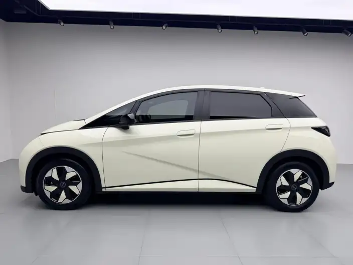 BYD Dolphin 2024 Model Honor Edition 420km Fashion Edition – фото 4