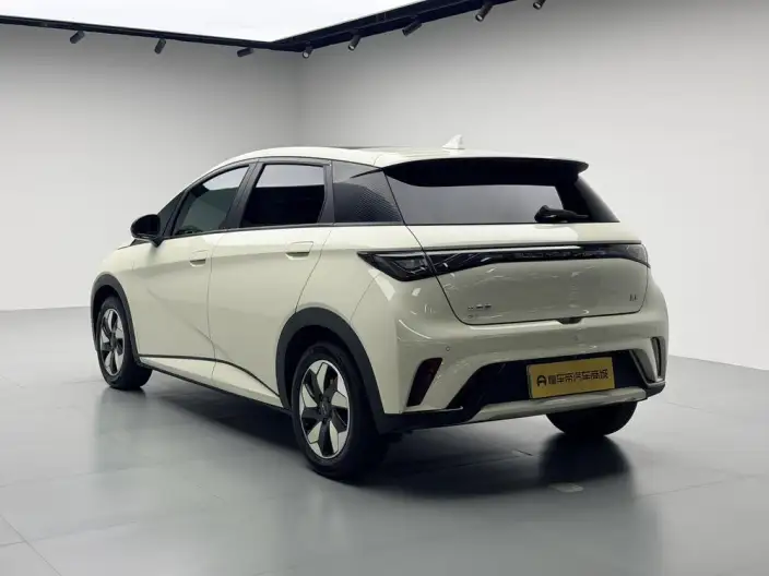 BYD Dolphin 2024 Model Honor Edition 420km Fashion Edition – фото 5