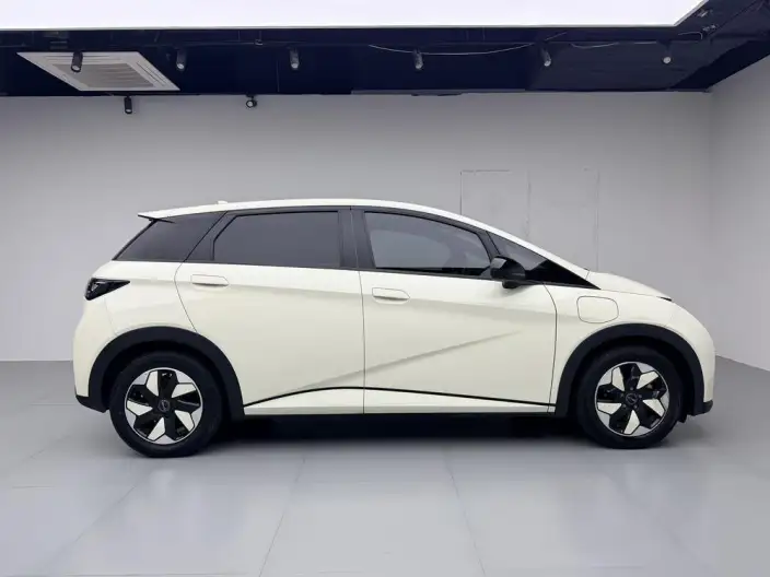 BYD Dolphin 2024 Model Honor Edition 420km Fashion Edition – фото 8