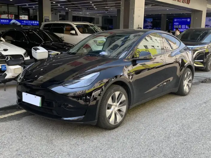 Model Y 2022 Model Rear-wheel drive version – фото 1