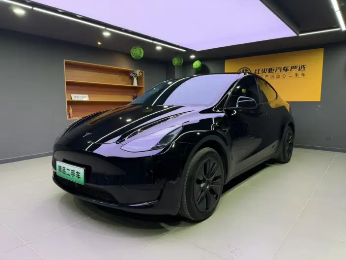 Model Y 2023 Model Rear-wheel drive version – фото 1