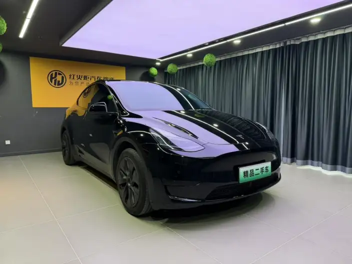 Model Y 2023 Model Rear-wheel drive version – фото 3
