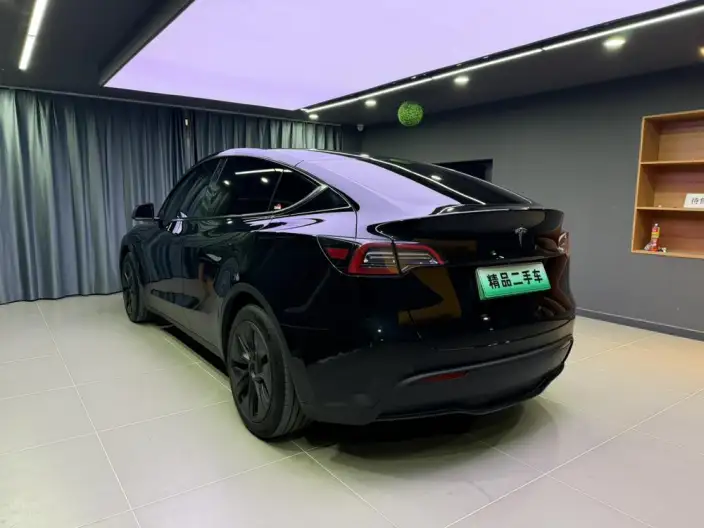 Model Y 2023 Model Rear-wheel drive version – фото 4