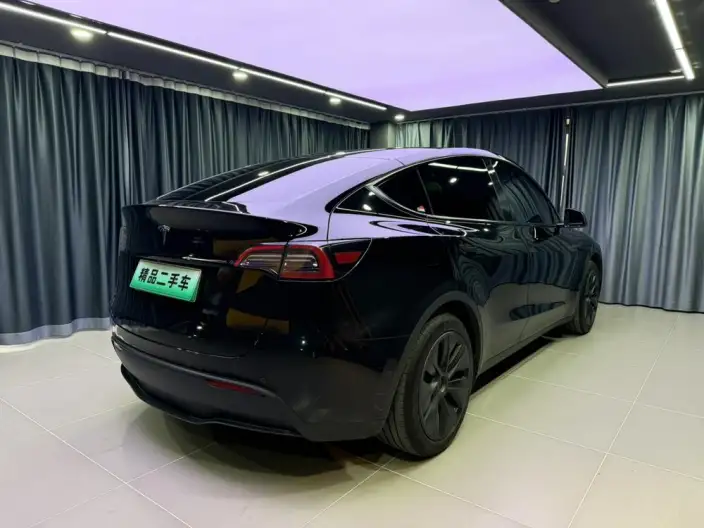 Model Y 2023 Model Rear-wheel drive version – фото 6