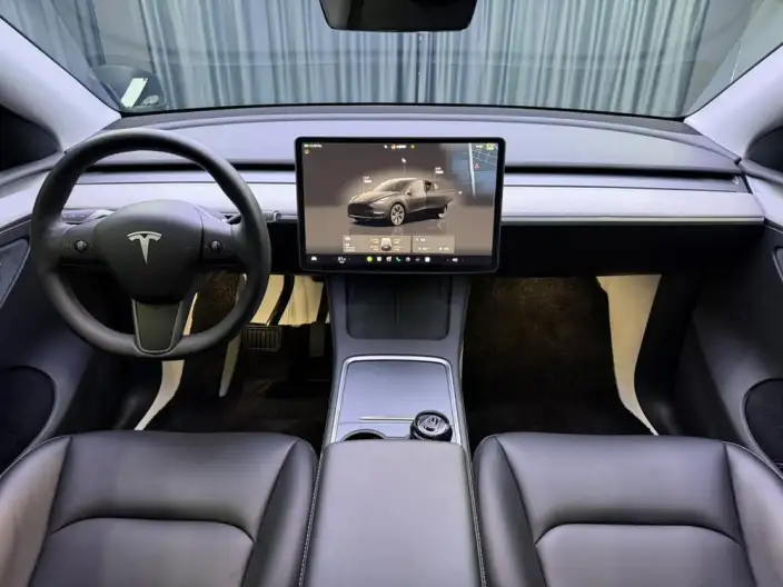 Model Y 2023 Model Rear-wheel drive version – фото 8