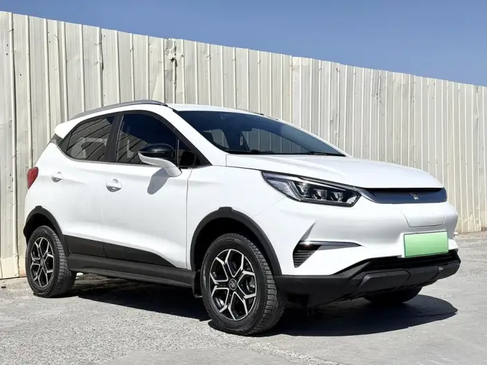 Yuan Pro 2021 Model 401KM Luxury Model – фото 3