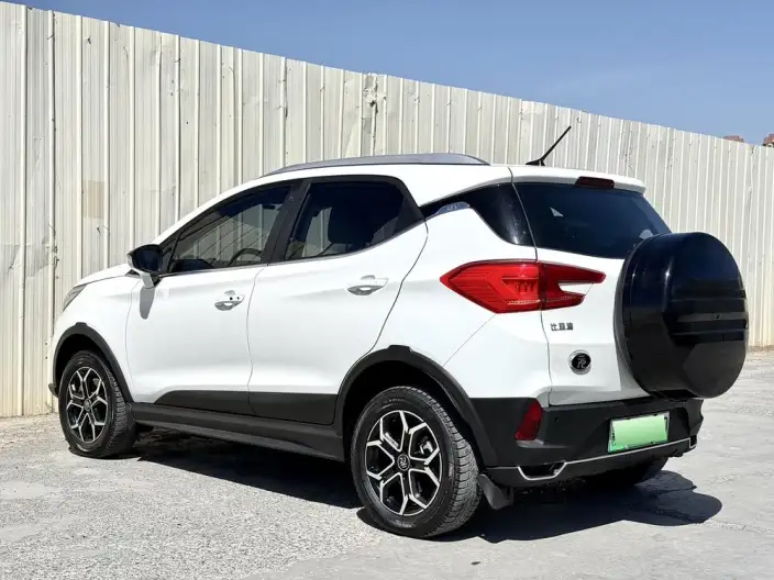 Yuan Pro 2021 Model 401KM Luxury Model – фото 4
