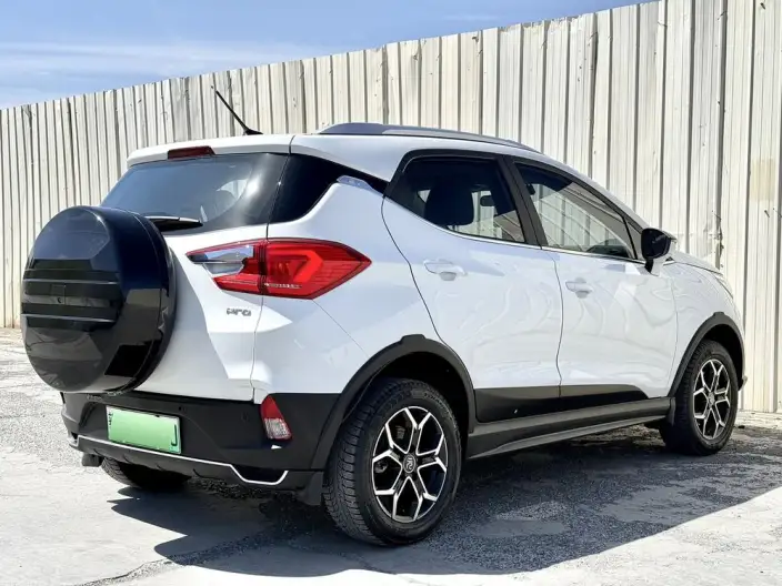 Yuan Pro 2021 Model 401KM Luxury Model – фото 6