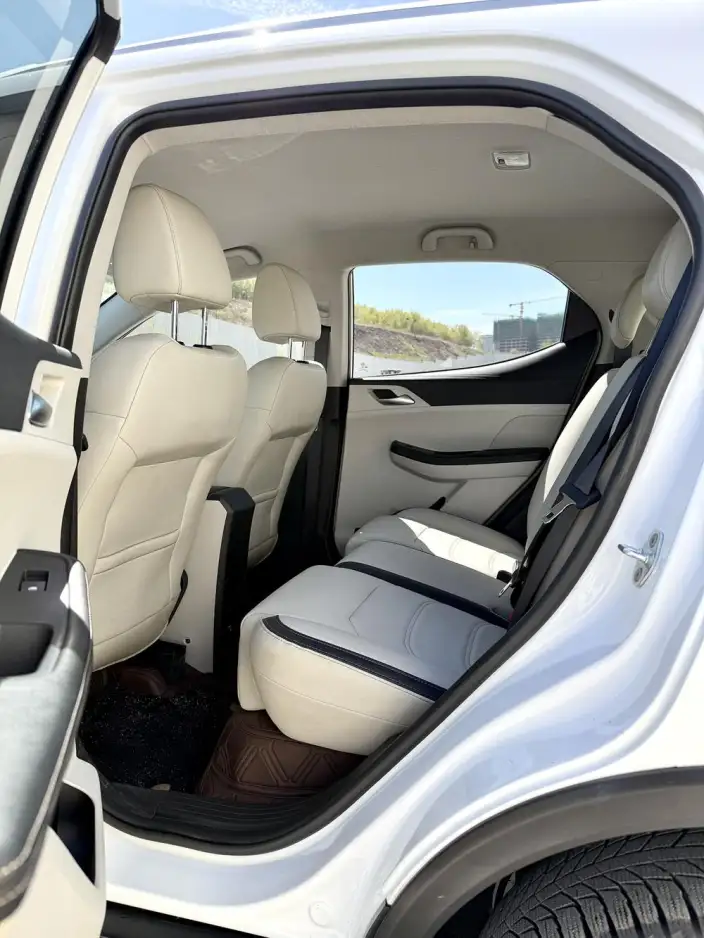 Yuan Pro 2021 Model 401KM Luxury Model – фото 9