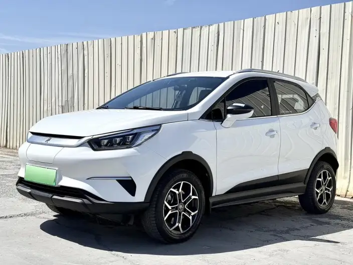 Yuan Pro 2021 Model 401KM Luxury Model – фото 10
