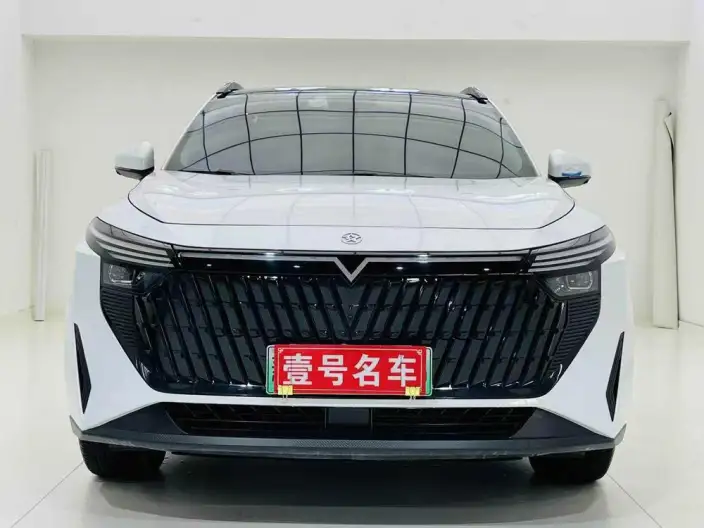 Venucia V+ DD-i 2023 Model 110KM iE Edition