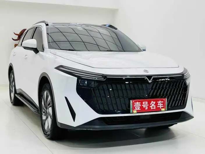Venucia V+ DD-i 2023 Model 110KM iE Edition