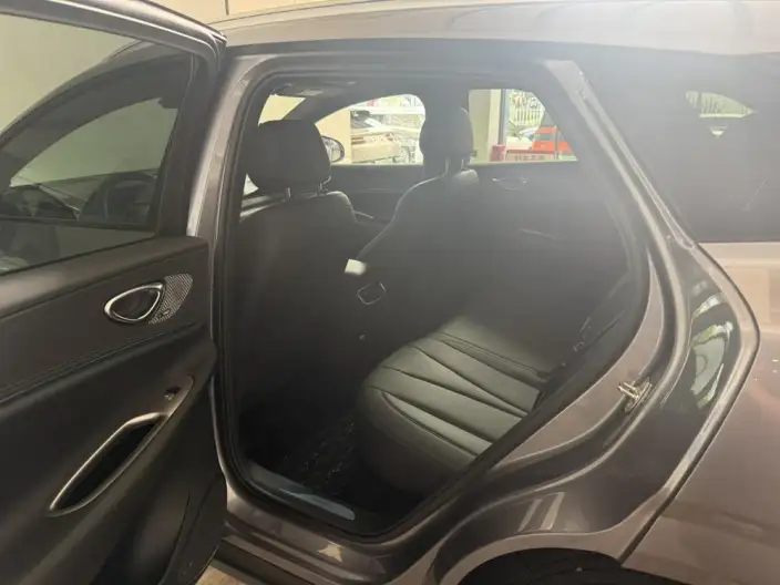 Sea Lion 06DM 2025 Model DM-i 205KM Pilot Plus Edition – фото 10