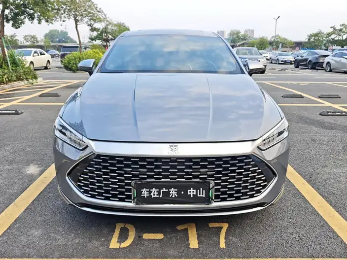 BYD Qin PLUS DM 2021 Model DM-i 120KM Noble Model – фото 2
