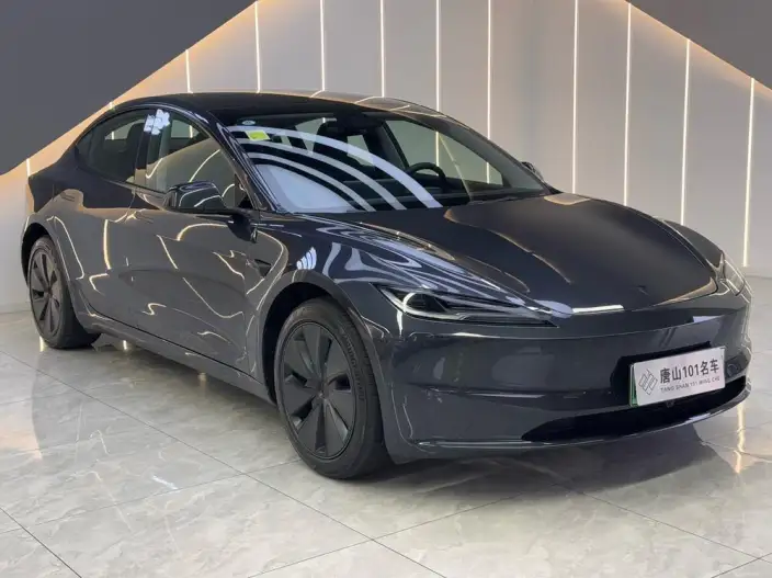 Model 3 2025 Model Facelift Rear-wheel drive version – фото 3