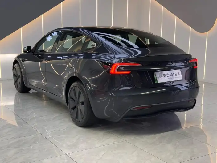 Model 3 2025 Model Facelift Rear-wheel drive version – фото 4