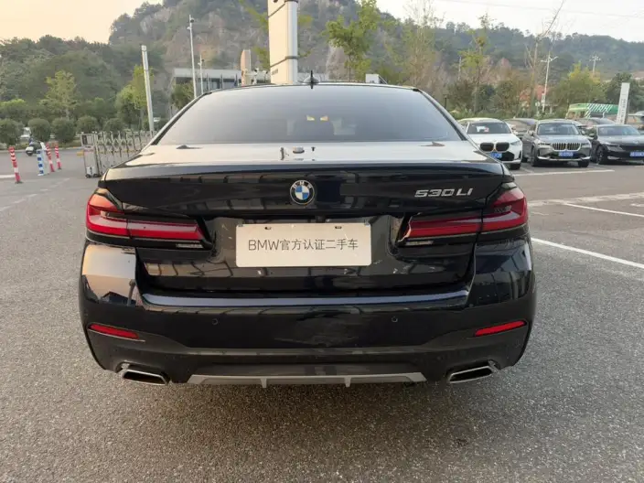 BMW 5 Series 2023 Model Facelift 530Li Leading Model M Sports Set – фото 4