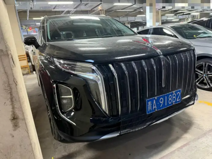Hongqi HS7 2023 Model 2.0T 4WD Flag Ling Edition 6 seat – фото 3