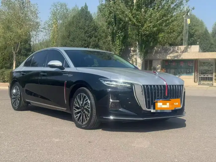Hongqi H5 2024 Model 2.0T Automatic Flag Enjoy Edition – фото 3