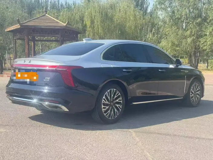 Hongqi H5 2024 Model 2.0T Automatic Flag Enjoy Edition – фото 6