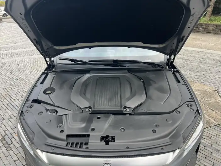 Qin Plus EV 2021 Model 500KM Luxury Model – фото 8