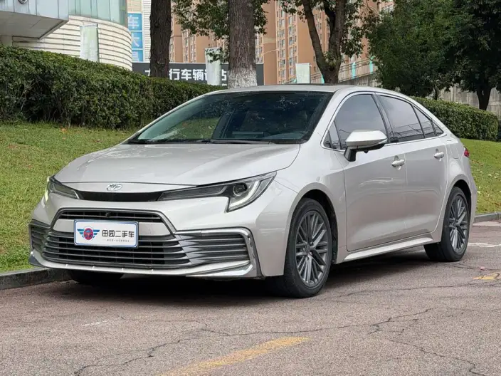 Lingshang 2021 Model 2.0L Deluxe Edition – фото 1