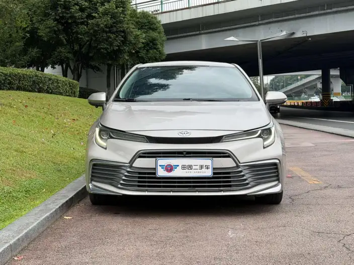 Lingshang 2021 Model 2.0L Deluxe Edition – фото 2