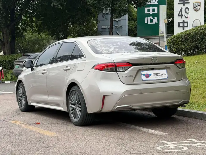 Lingshang 2021 Model 2.0L Deluxe Edition – фото 4