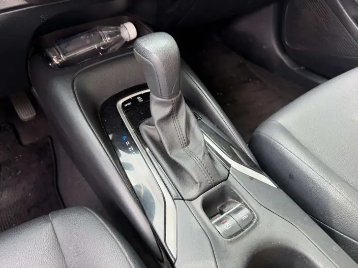 Lingshang 2021 Model 2.0L Deluxe Edition – фото 10