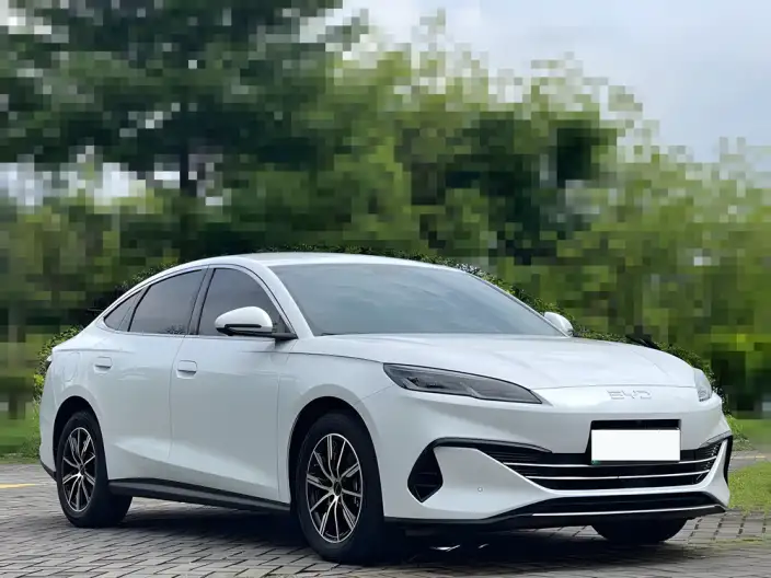 BYD Seal 06 DM 2024 Model DM-i 80KM Noble Model – фото 3