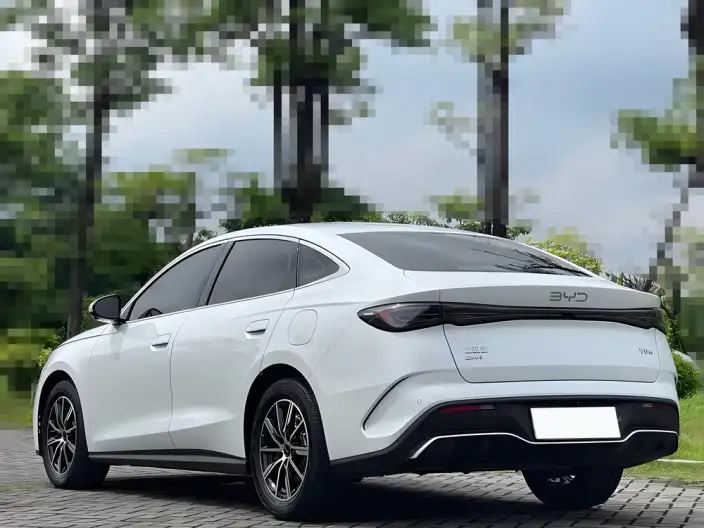 BYD Seal 06 DM 2024 Model DM-i 80KM Noble Model – фото 4