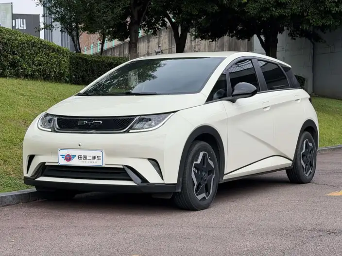 BYD Dolphin 2021 Model Free Edition – фото 1
