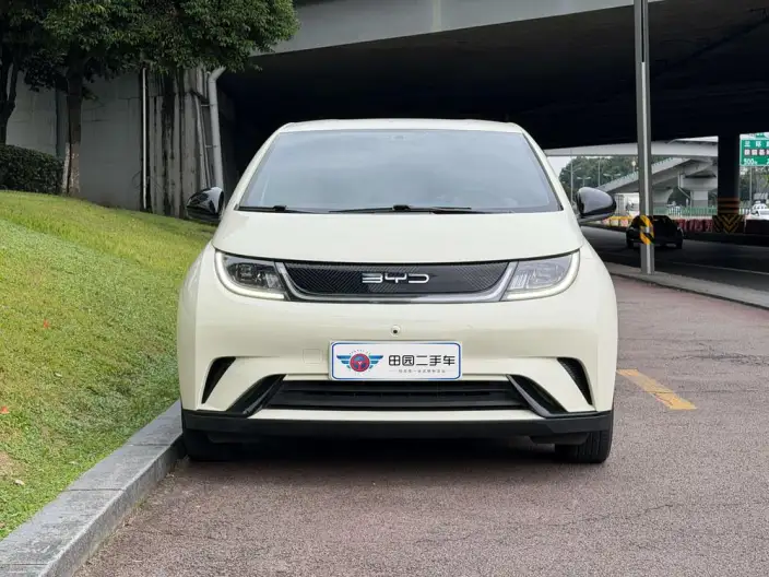 BYD Dolphin 2021 Model Free Edition – фото 2