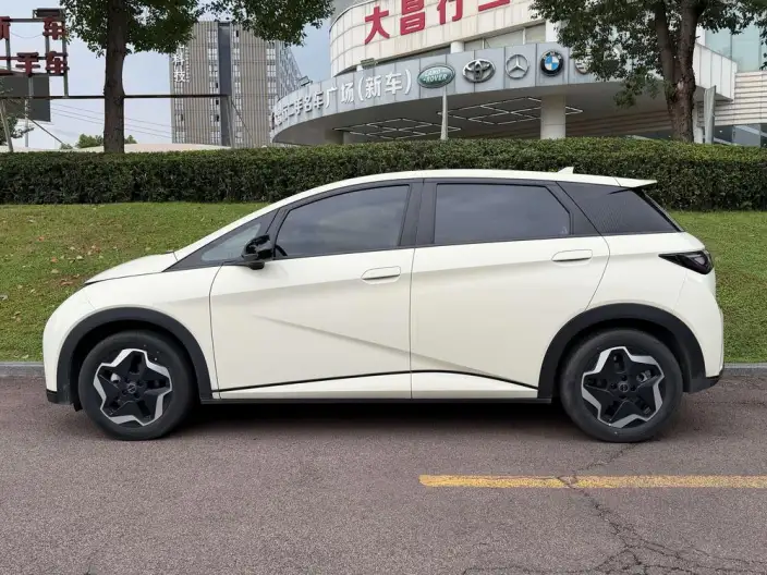 BYD Dolphin 2021 Model Free Edition – фото 3