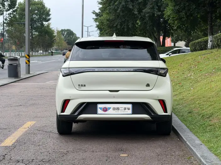 BYD Dolphin 2021 Model Free Edition – фото 4