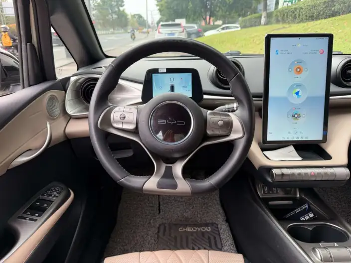 BYD Dolphin 2021 Model Free Edition – фото 8