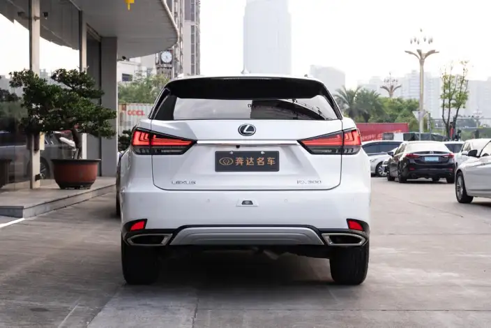 Lexus RX 2020 Model Facelift 300 2WD Elite Edition – фото 4