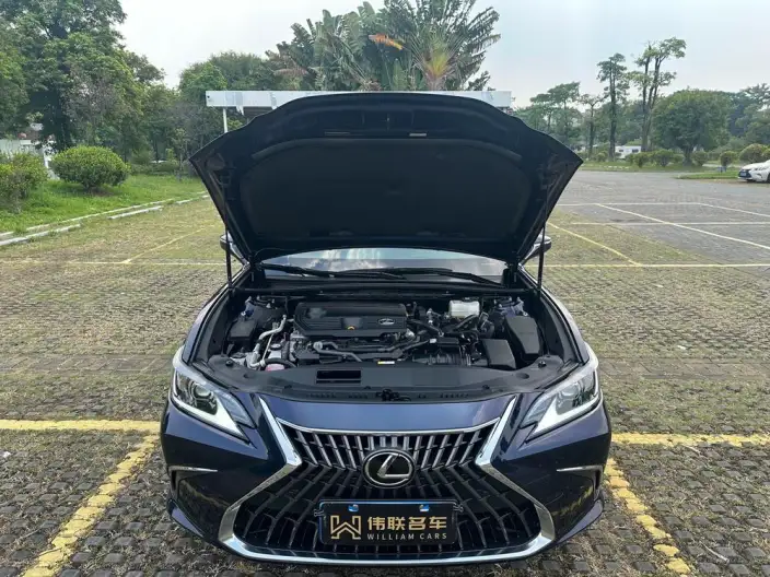 Lexus ES 2022 Model 300h Superior Edition – фото 8