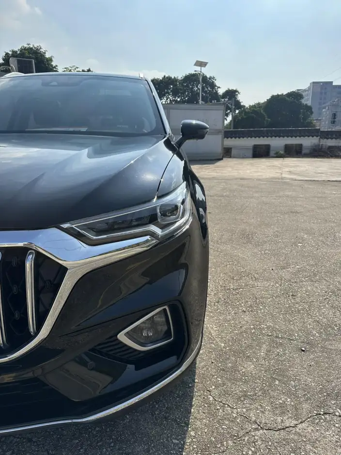 Hongqi HS5 2022 Model 2.0T Smart Flag Enjoy Edition – фото 7