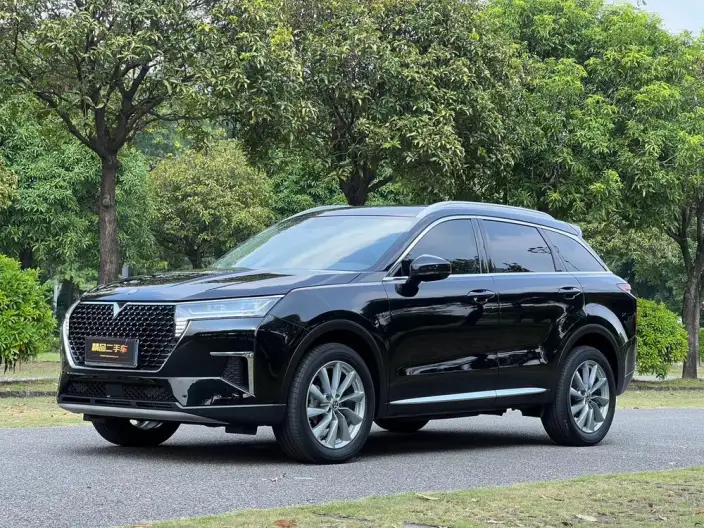 Qichen Star 2023 Model 260T Starlight Celebration Edition Pro