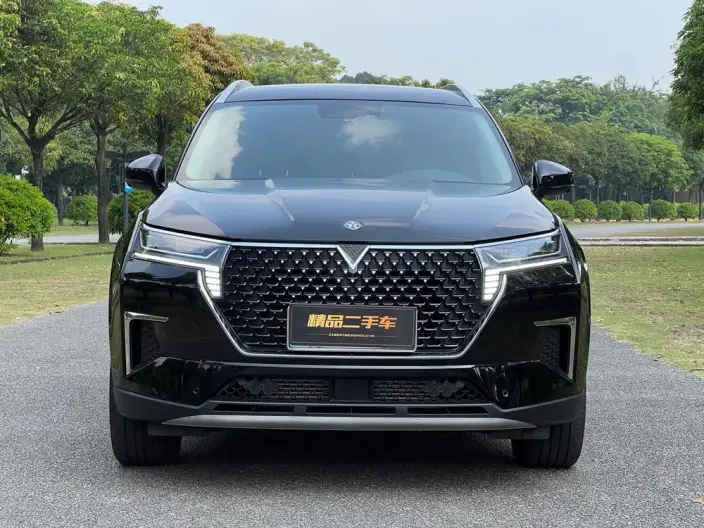 Qichen Star 2023 Model 260T Starlight Celebration Edition Pro