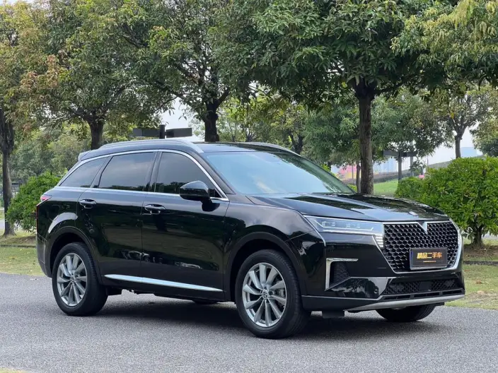 Qichen Star 2023 Model 260T Starlight Celebration Edition Pro