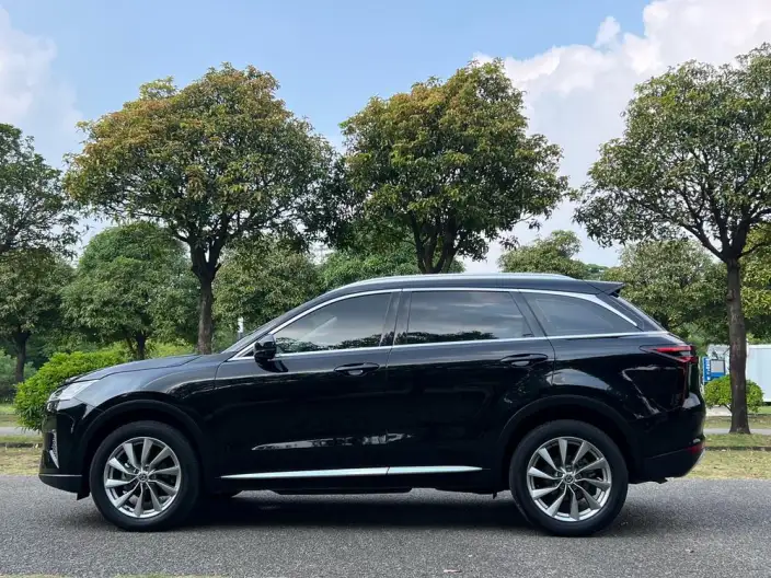 Qichen Star 2023 Model 260T Starlight Celebration Edition Pro