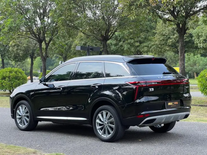 Qichen Star 2023 Model 260T Starlight Celebration Edition Pro – фото 5