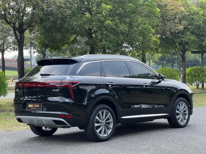 Qichen Star 2023 Model 260T Starlight Celebration Edition Pro – фото 7