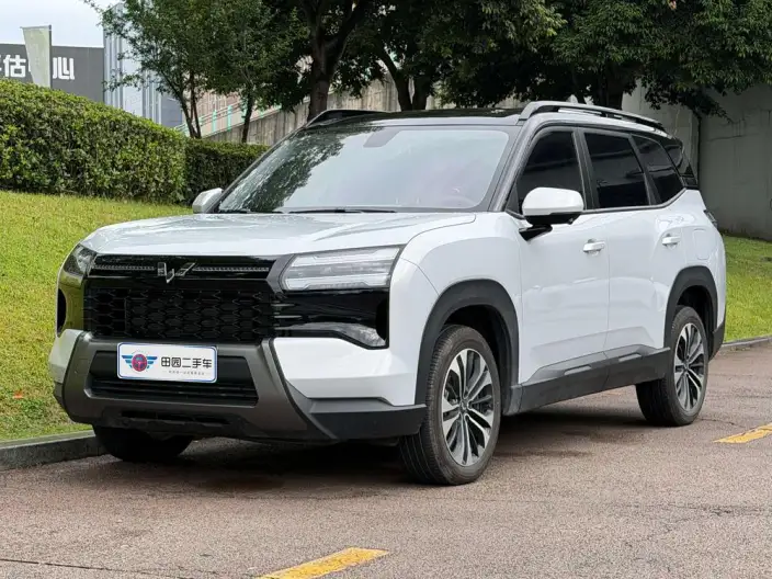 Xingguang 560 PHEV 2026 Model 125km Luxury Model – фото 1