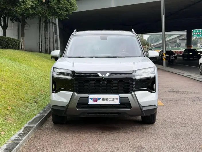 Xingguang 560 PHEV 2026 Model 125km Luxury Model – фото 2