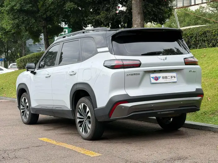 Xingguang 560 PHEV 2026 Model 125km Luxury Model – фото 4
