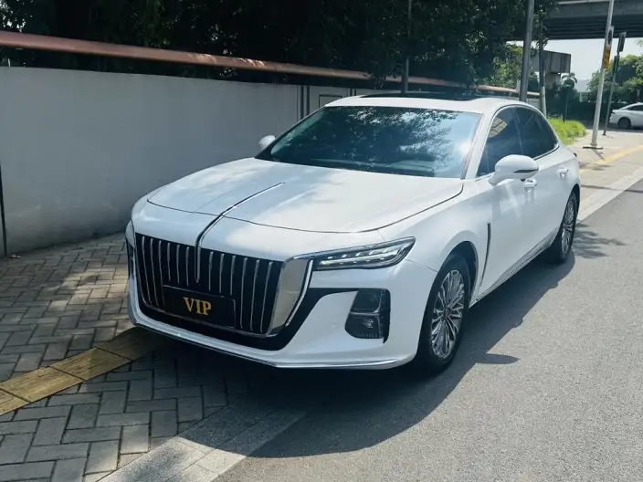 Hongqi H5 2023 Model 2.0T Automatic Flag Enjoy Edition – фото 1